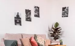 Gancho Magnético Silwy Flex Incl. Almohadillas Metálicas De Nano Gel De 5 Cm. 8 Pcs. Negro 12 Gancho Magnético Silwy Flex Incl. Almohadillas Metálicas De Nano Gel De 5 Cm. 8 Pcs. Negro -möbel affär 337223 2526526