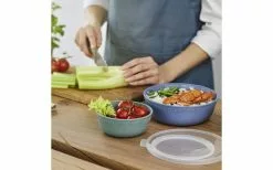 Rotho Tresa Bowl Con Tapa 0,35 Litros Verde Azul -möbel affär 443918 3180293